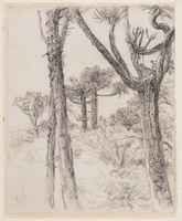 KT 3033
<br/>
Landschap met nosdoorns in Zuid-Afrika
<br/>
<em>Nachenius, Jan Coenraad (1890-1987)</em>